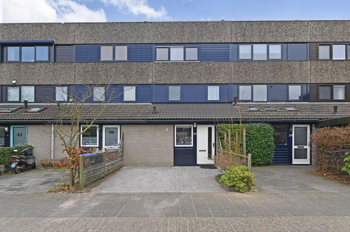 Foto 1 van Deborah Hoeve 36