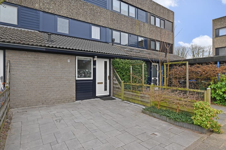 Foto 5 van Deborah Hoeve 36