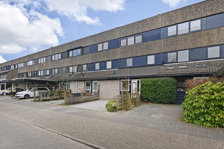 Foto 38 van Deborah Hoeve 36