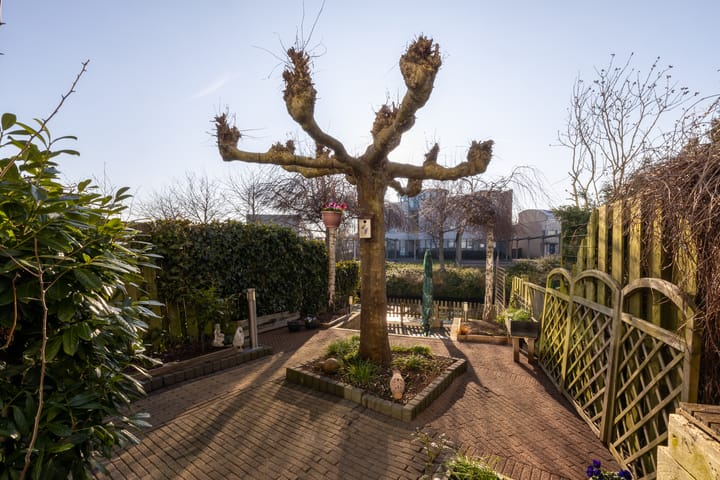 Foto 37 van Westlander 71