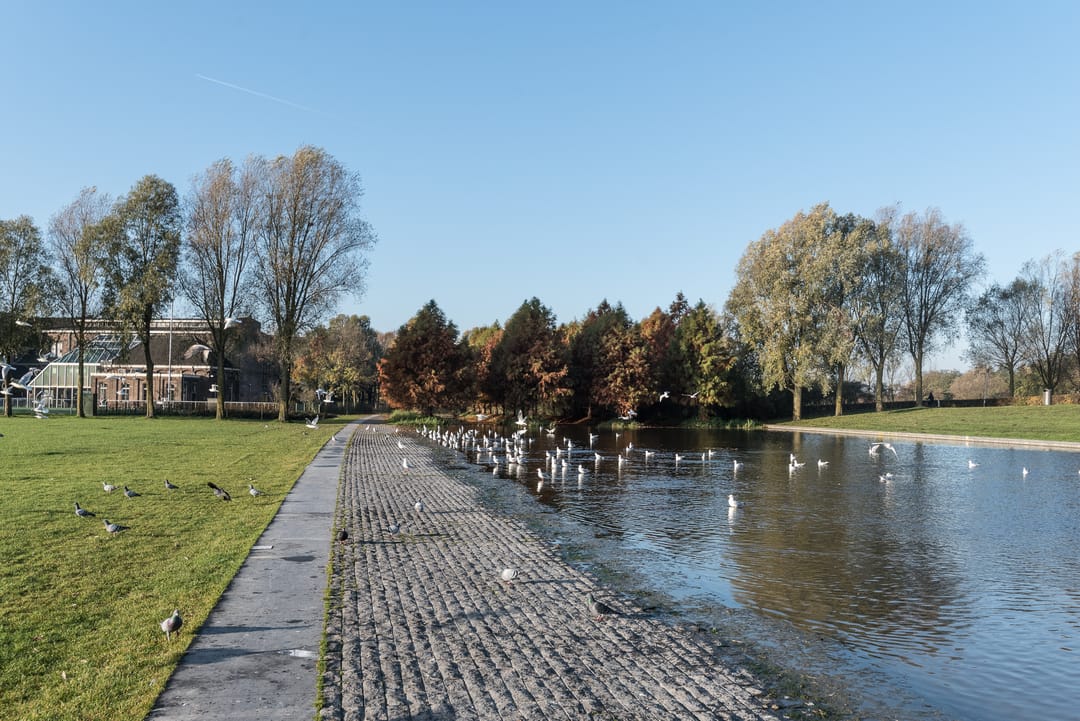 Foto 26 van Nova Zemblastraat 530