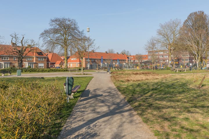 Foto 21 van Hans Vredeman de Vriesstraat 13