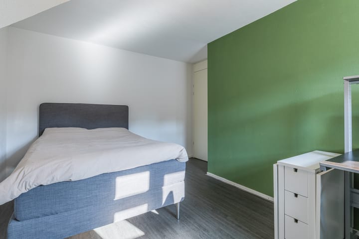 Foto 27 van Hans Vredeman de Vriesstraat 13