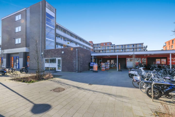 Foto 4 van Plantage 8-C