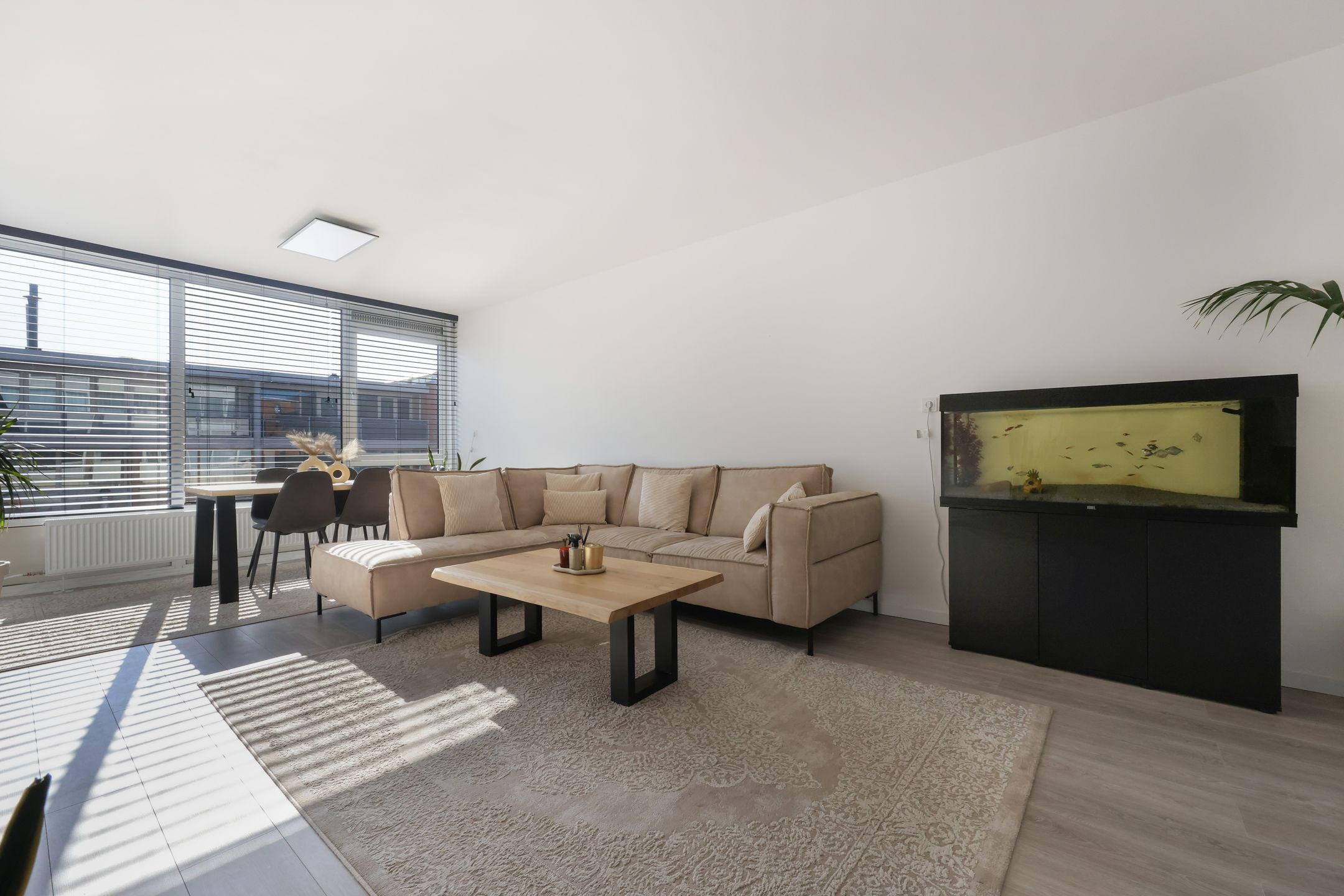 Foto 6 van Plantage 8-C