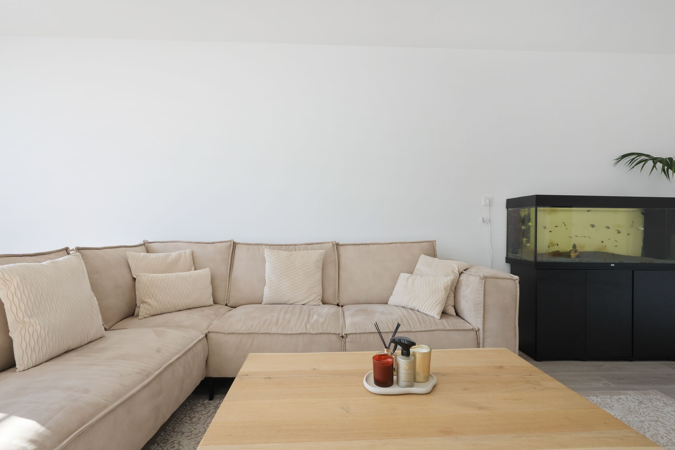 Foto 9 van Plantage 8-C