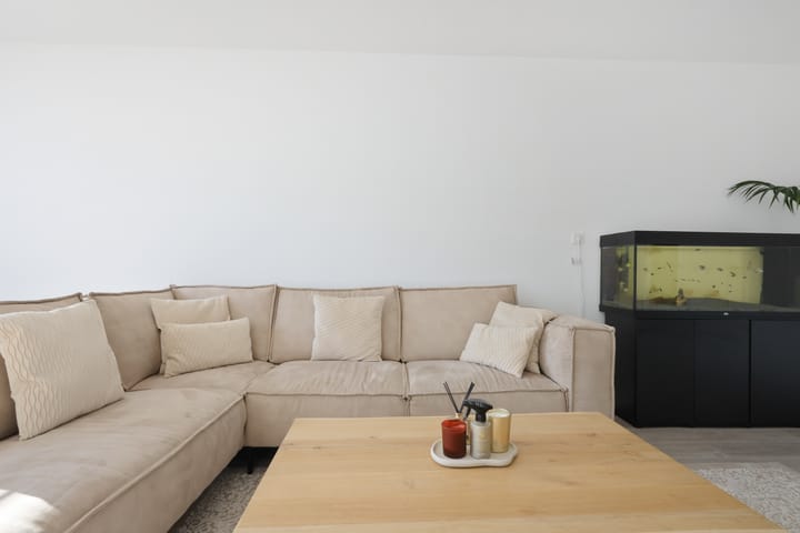 Foto 9 van Plantage 8-C