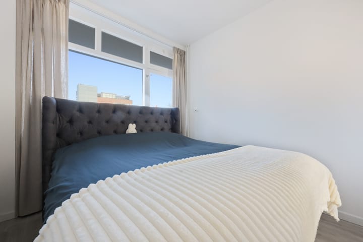 Foto 14 van Plantage 8-C