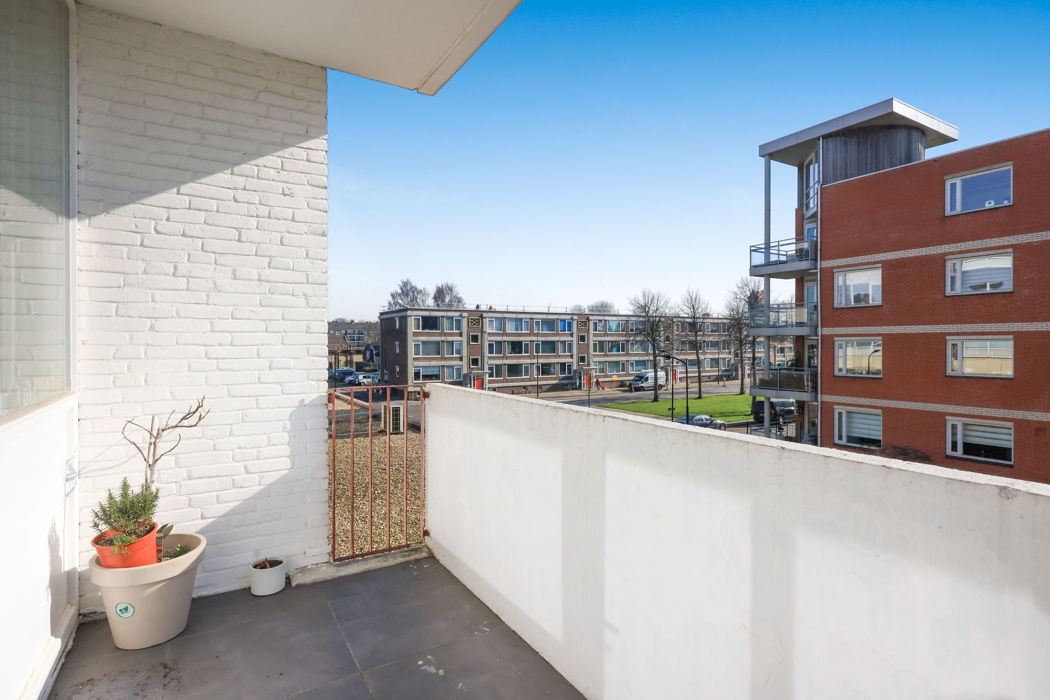 Foto 24 van Plantage 8-C