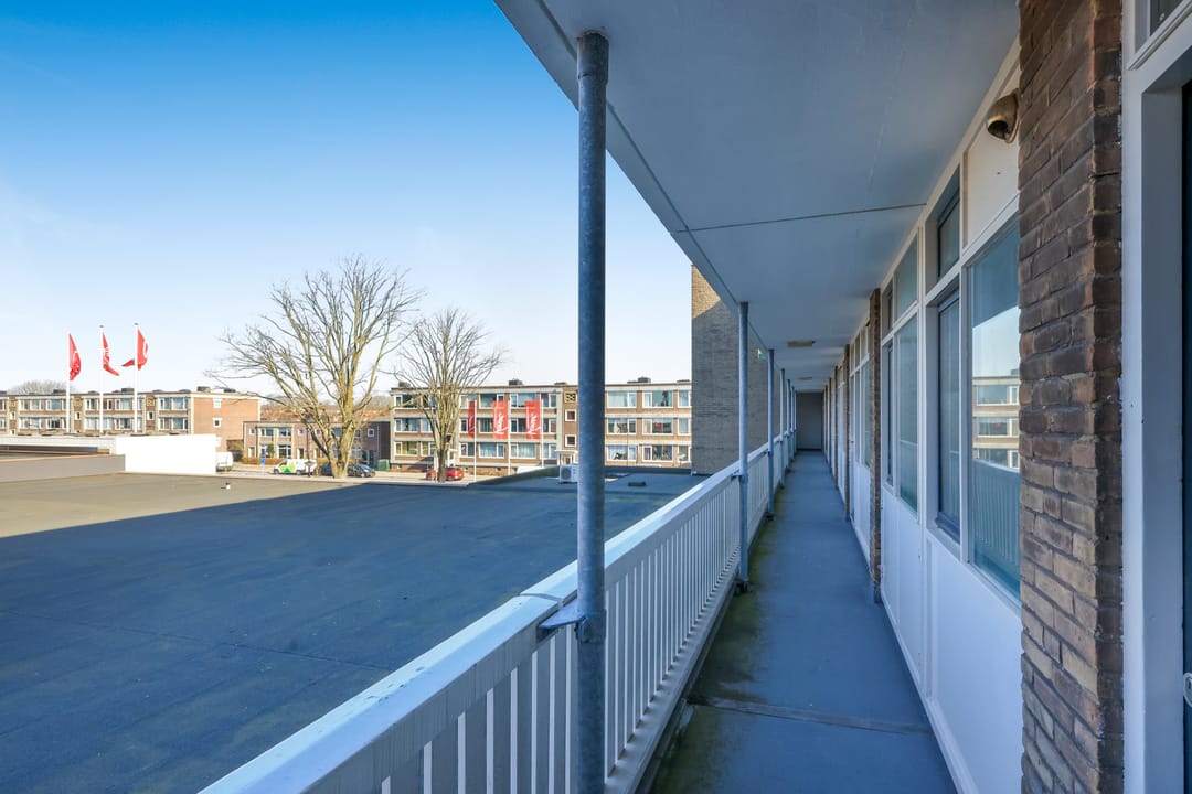 Foto 31 van Plantage 8-C