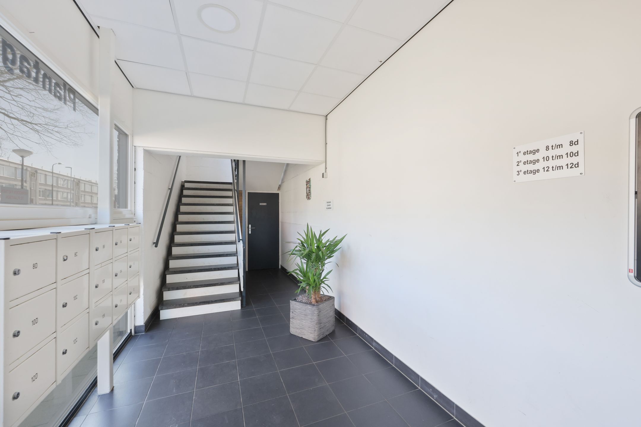 Foto 33 van Plantage 8-C