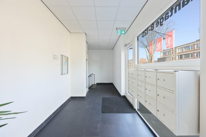 Foto 34 van Plantage 8-C