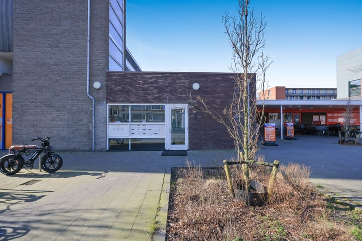 Foto 35 van Plantage 8-C