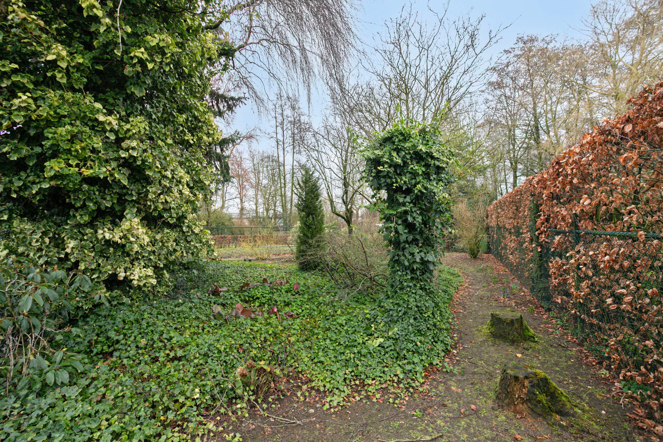 Foto 36 van Vlasvenstraat 11