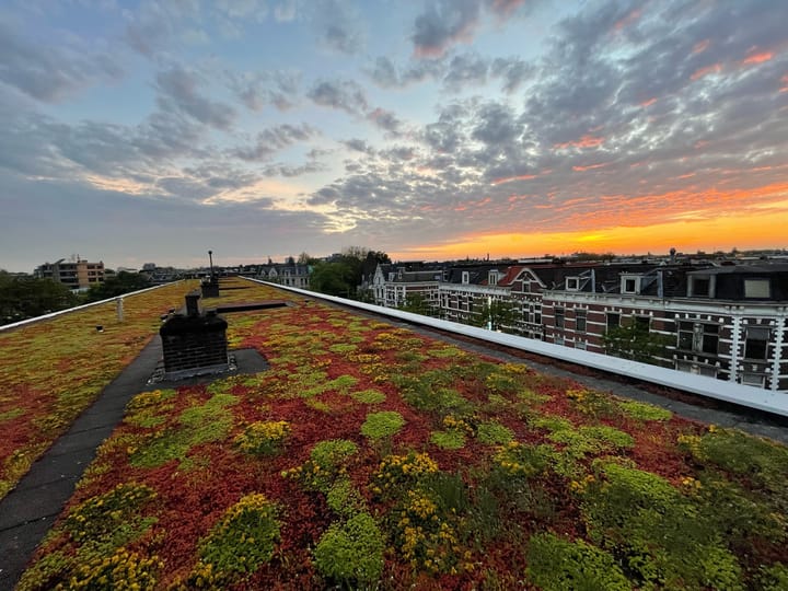 Foto 29 van Nieuwe Binnenweg 84-03L