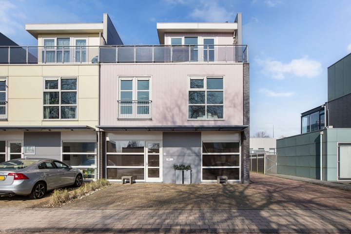 Foto 7 van Heideanjer 8