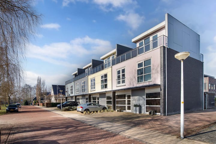 Foto 50 van Heideanjer 8