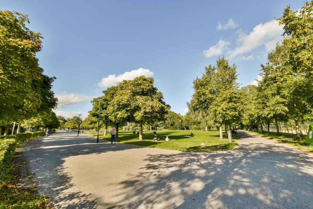 Foto 27 van Linnaeusparkweg 116-1