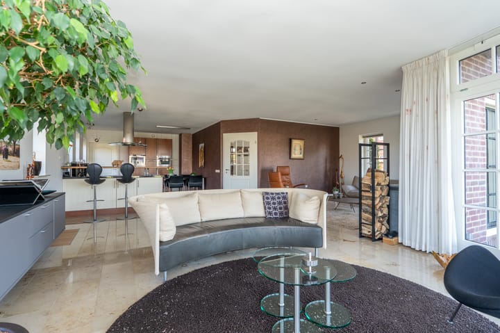 Foto 9 van Nijlgans 11