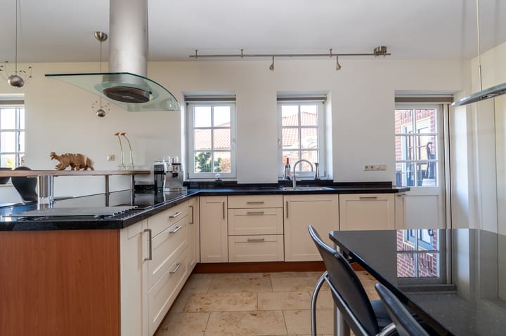 Foto 12 van Nijlgans 11