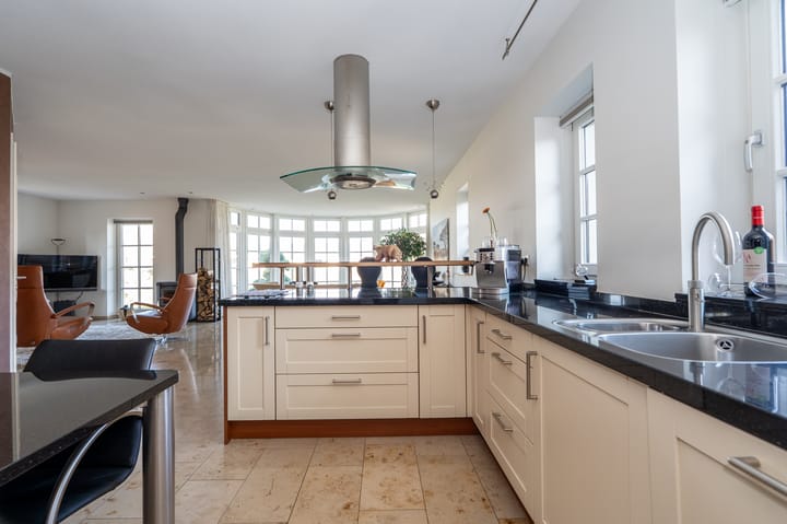 Foto 13 van Nijlgans 11