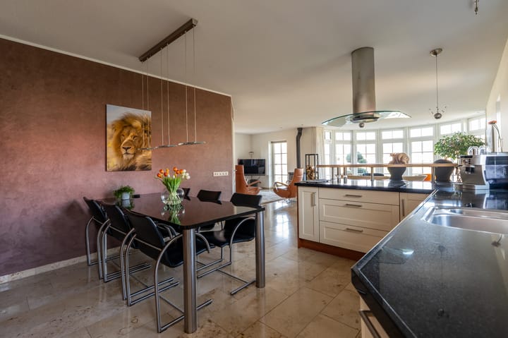 Foto 14 van Nijlgans 11