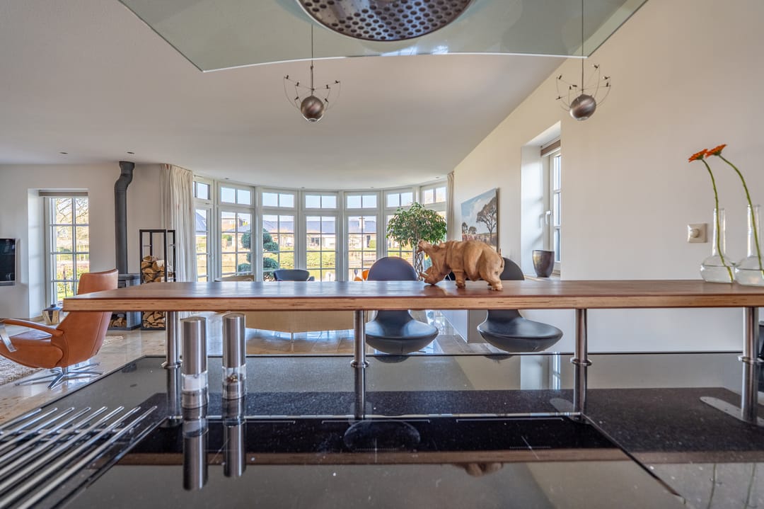 Foto 16 van Nijlgans 11