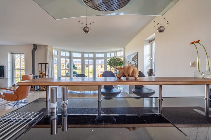 Foto 16 van Nijlgans 11