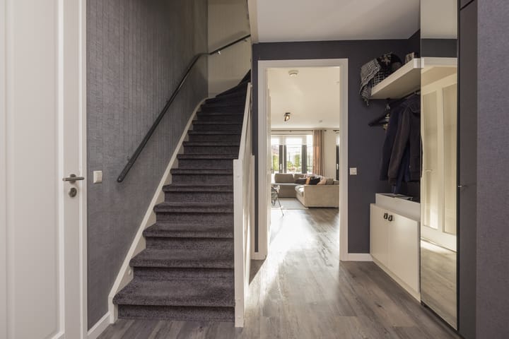 Photo 5 of Zilverstein 62