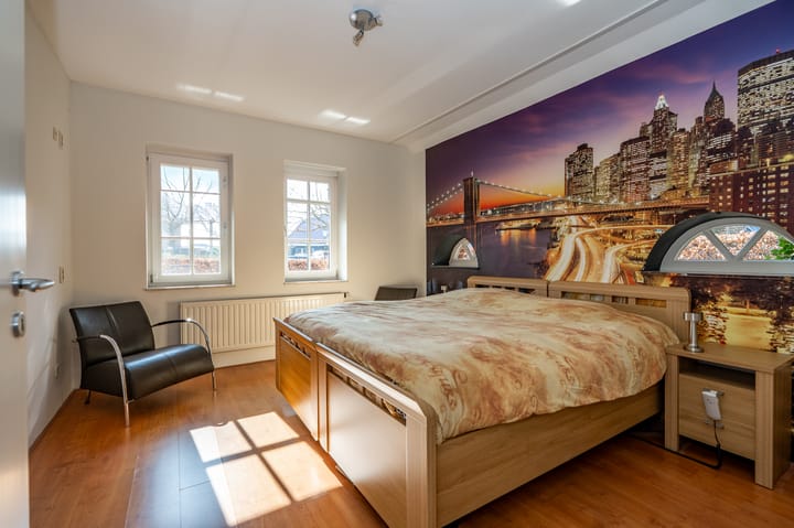 Foto 19 van Nijlgans 11