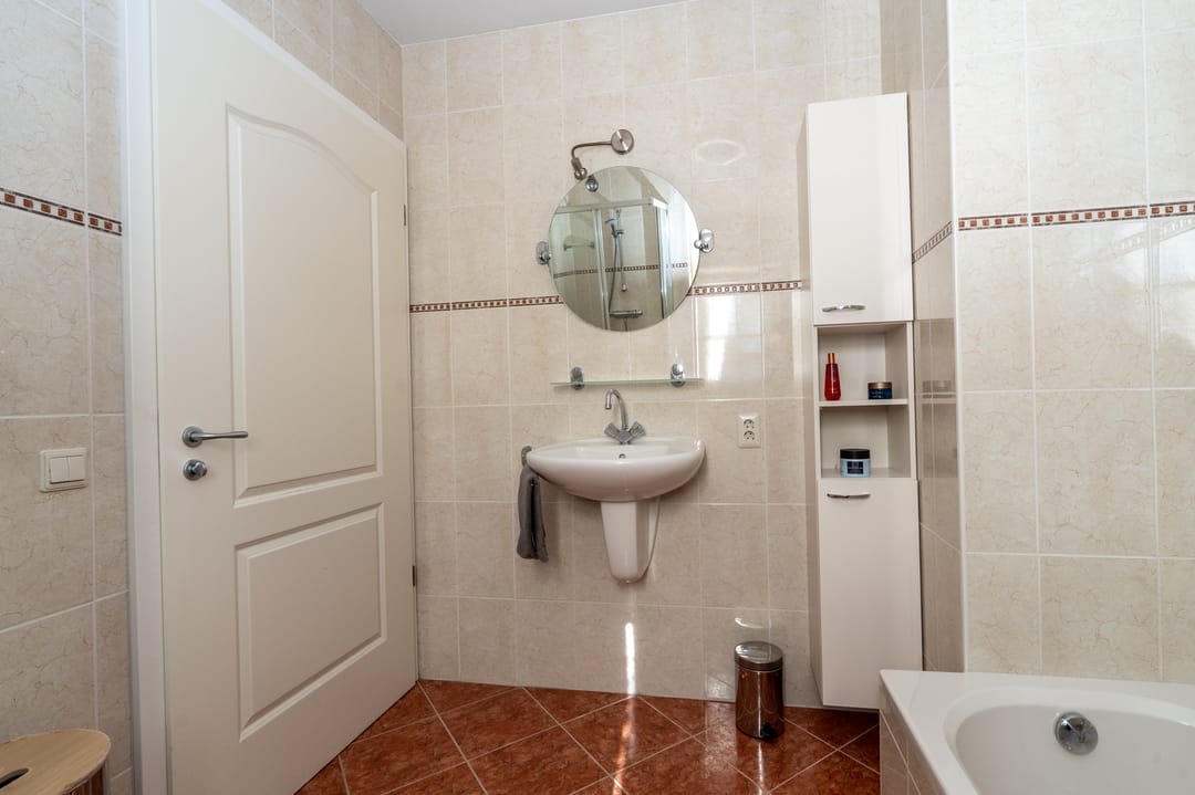 Foto 23 van Nijlgans 11