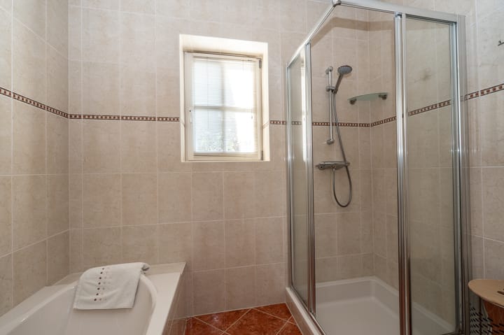 Foto 24 van Nijlgans 11