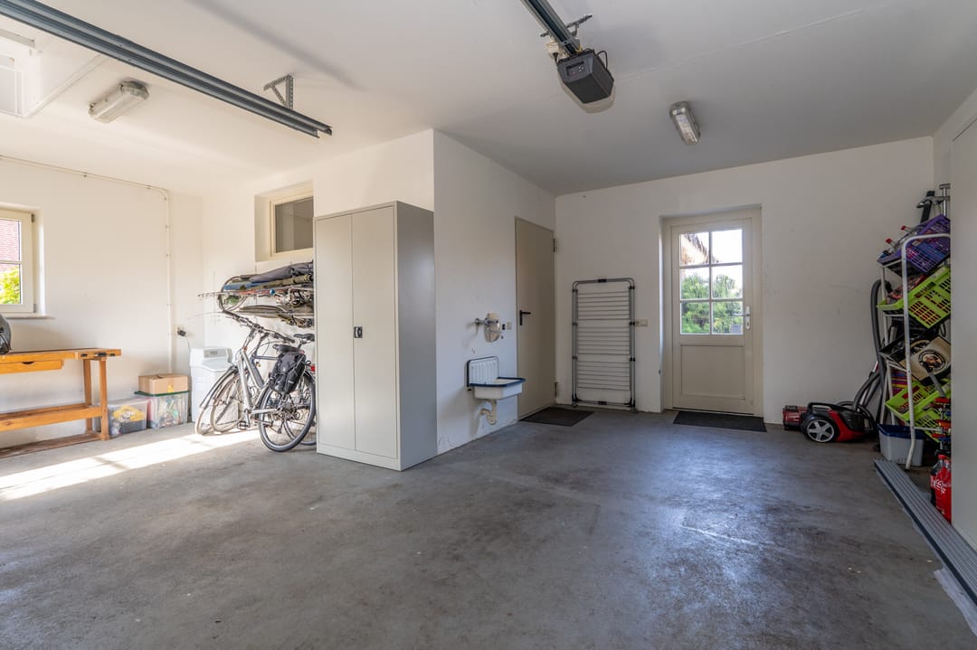 Foto 28 van Nijlgans 11