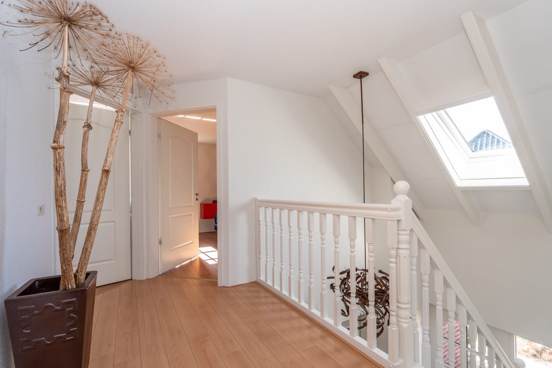 Foto 31 van Nijlgans 11