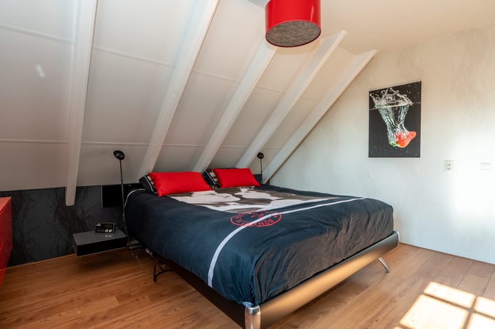 Foto 33 van Nijlgans 11