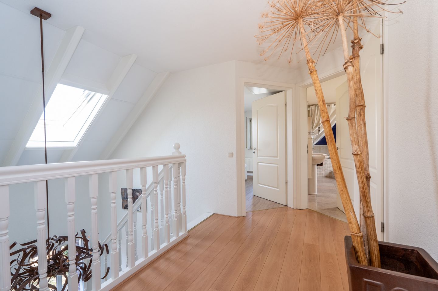 Foto 35 van Nijlgans 11