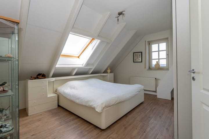 Foto 39 van Nijlgans 11