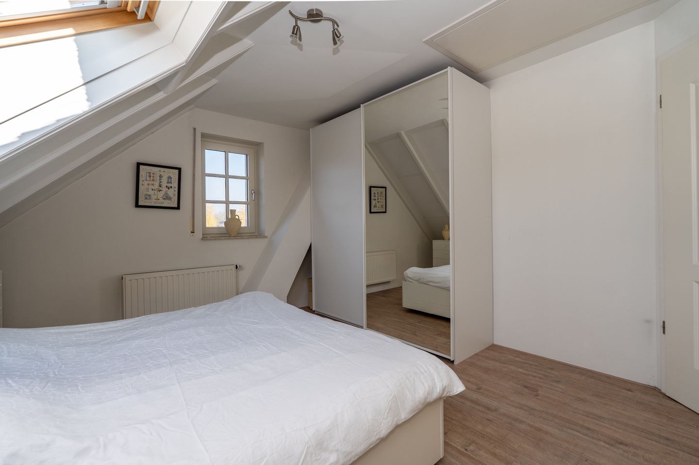 Foto 40 van Nijlgans 11