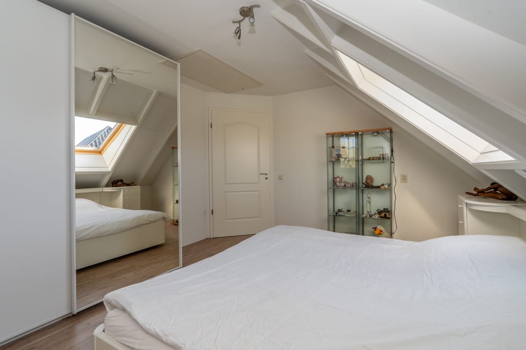 Foto 41 van Nijlgans 11