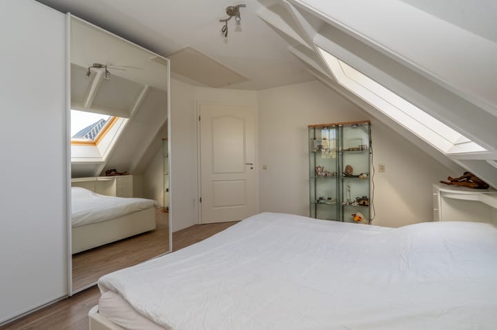 Foto 41 van Nijlgans 11