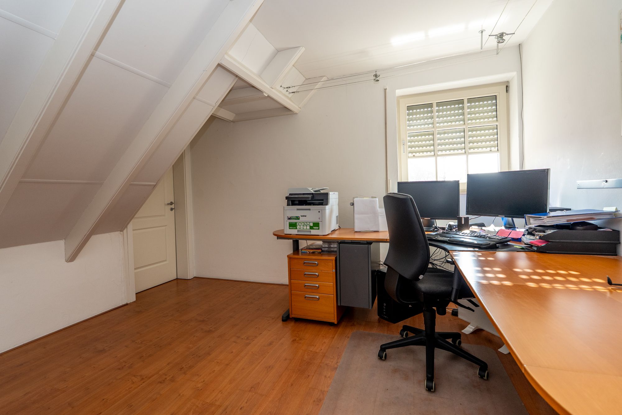 Foto 42 van Nijlgans 11