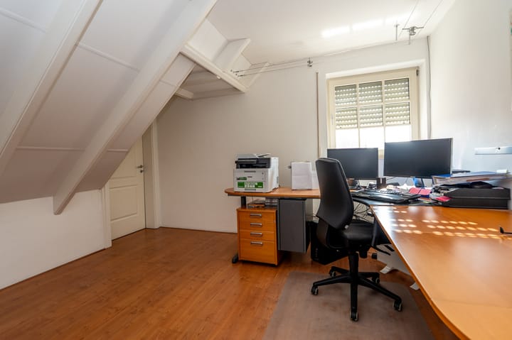 Foto 42 van Nijlgans 11