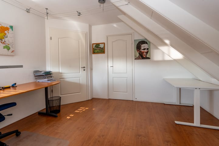 Foto 43 van Nijlgans 11