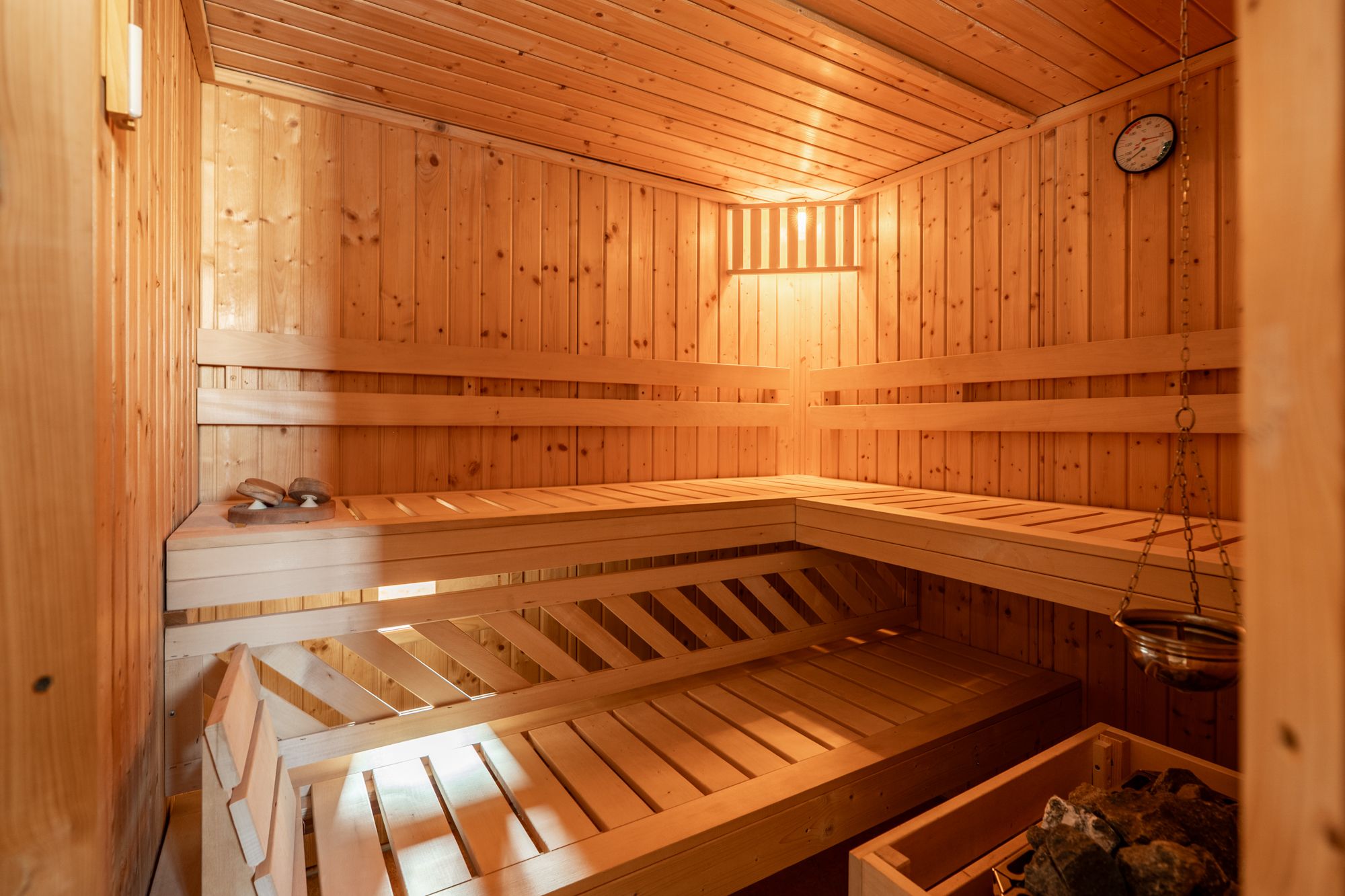 Foto 45 van Nijlgans 11