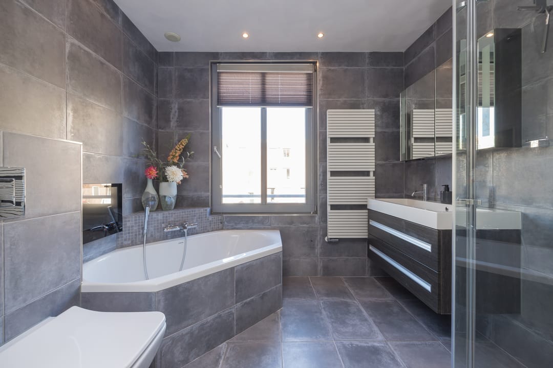 Foto 31 van Zilverstein 62