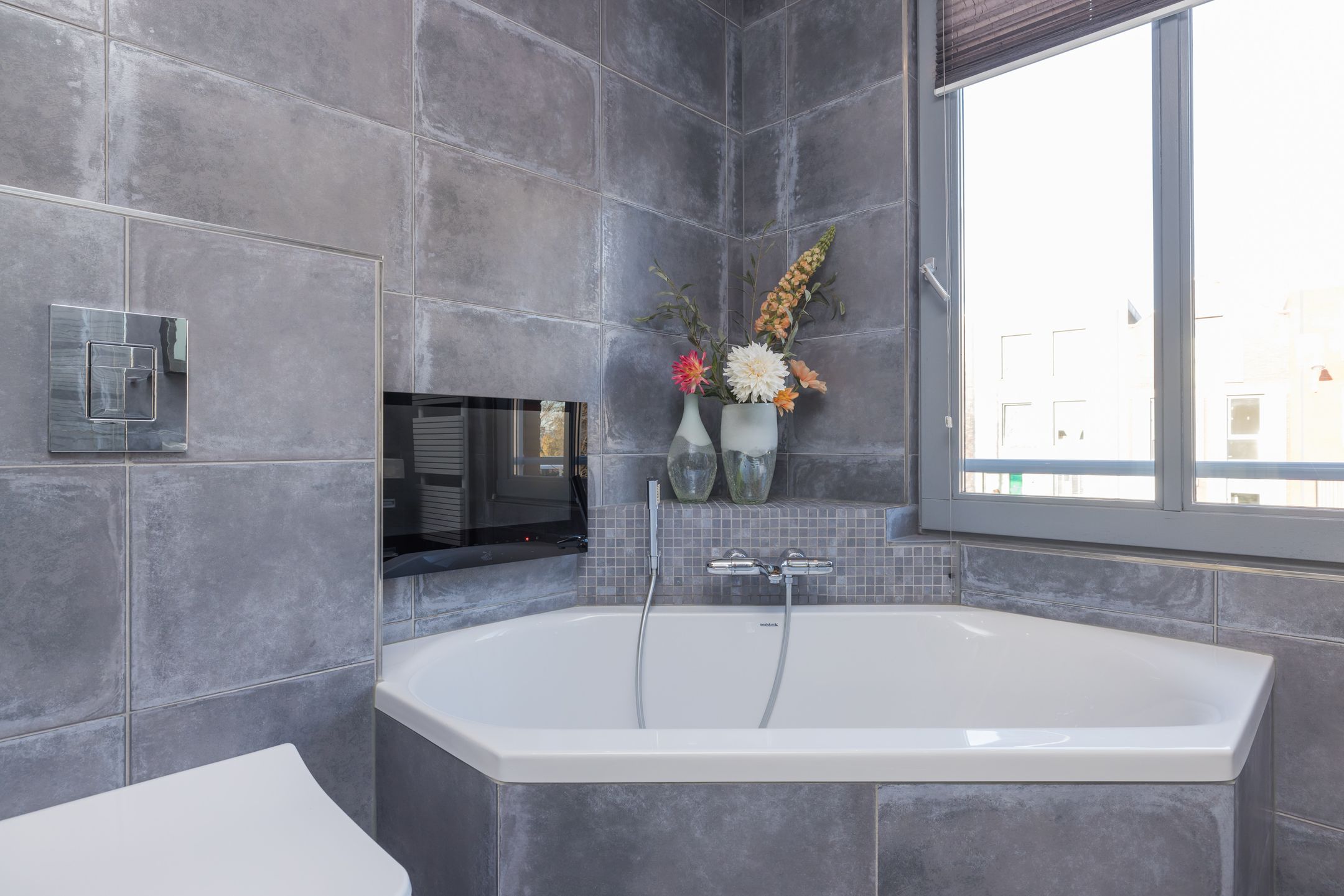 Foto 33 van Zilverstein 62