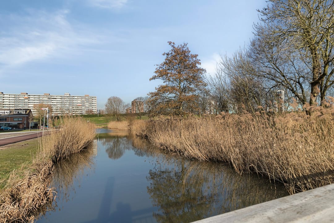 Foto 23 van Lehárstraat 58