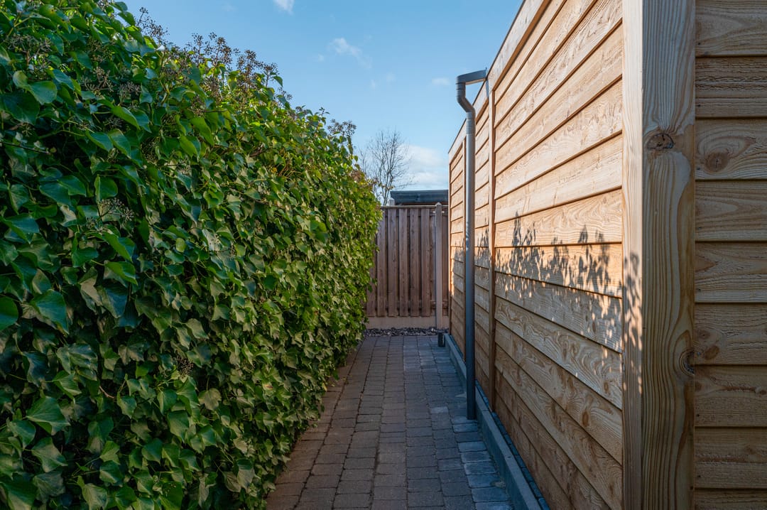 Foto 53 van Parklaan 7