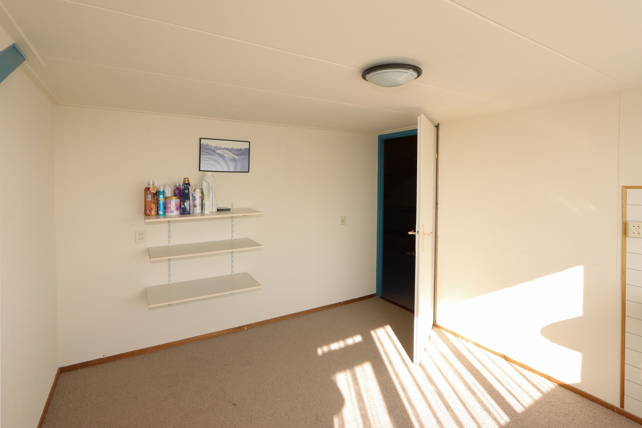 Foto 30 van Koolzaadhof 8