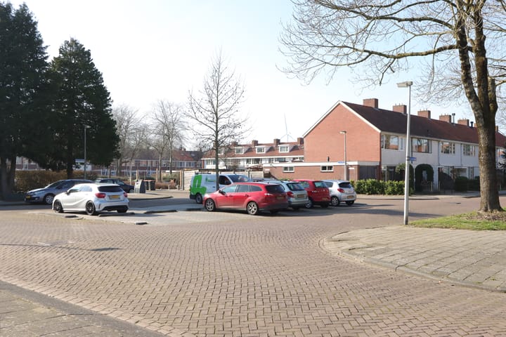 Foto 45 van Koolzaadhof 8